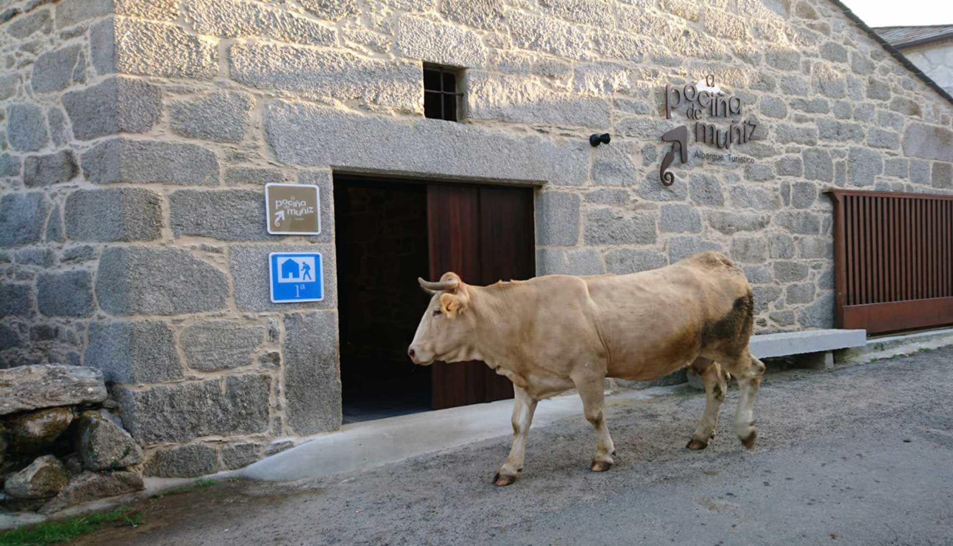 A Pociña de Muñiz. Albergue Turístico.